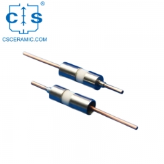 Electrod ceramic de vid